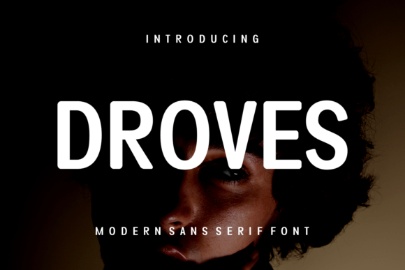 Droves Font: A Clean, Confident Sans Serif for Campaign Headlines