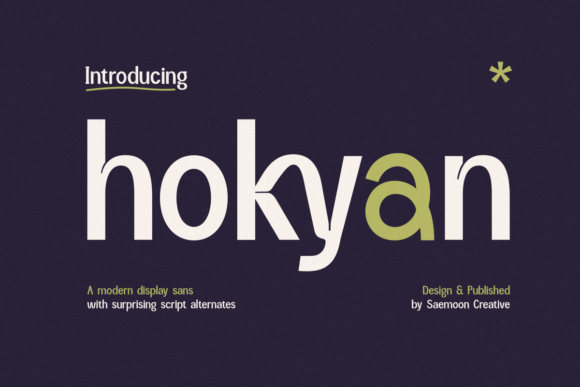 Hokyan: A Clean, Playful Sans Serif Font for Real Business Brands