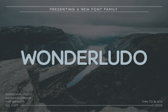 Wonderludo Rounded: A Warm, Polished Sans Serif for Real Small Business Branding